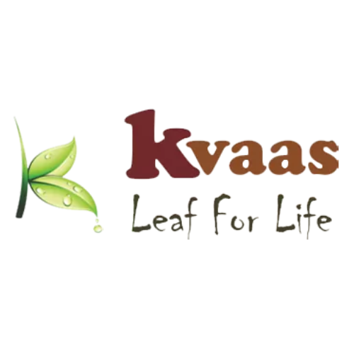 Kvaas (2) Kvaas (2)