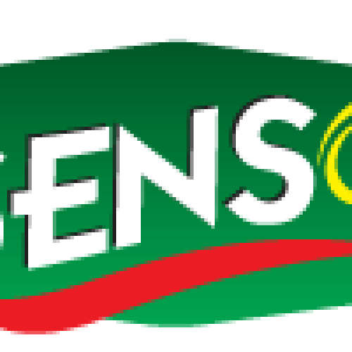 Senso_logo Senso_logo